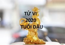 Xem tử vi 2020 cho tuổi Dậu sinh năm 1957, 1969, 1981, 1993, 2005