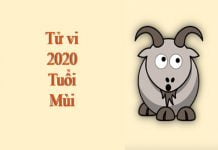 Xem tử vi 2020 cho tuổi MÙI sinh năm 1955, 1967, 1979, 1991, 2003
