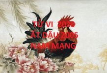 Xem tử vi năm 2020 cho tuổi ẤT DẬU sinh năm 2005 Nam Mạng