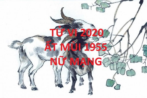 Xem tử vi năm 2020 cho tuổi ẤT MÙI sinh năm 1955 Nữ Mạng-1 Xem tử vi năm 2020 cho tuổi ẤT MÙI sinh năm 1955 Nữ Mạng-1
