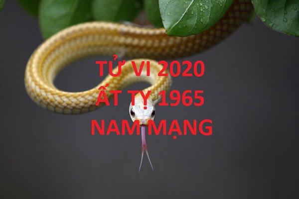Xem tử vi năm 2020 cho tuổi ẤT TỴ sinh năm 1965 Nam Mạng-1