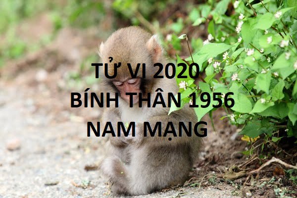 Xem tử vi năm 2020 cho tuổi BÍNH THÂN sinh năm 1956 Nam Mạng-1