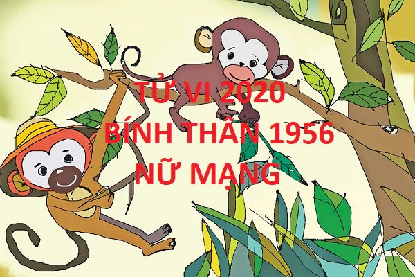 Xem tử vi năm 2020 cho tuổi BÍNH THÂN sinh năm 1956 Nữ Mạng-1