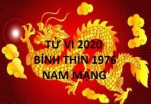 Xem tử vi năm 2020 cho tuổi BÍNH THÌN sinh năm 1976 Nam Mạng