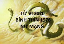 Xem tử vi năm 2020 cho tuổi BÍNH THÌN sinh năm 1976 Nữ Mạng