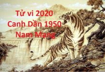 Xem tử vi năm 2020 cho tuổi Canh Dần sinh năm 1950 Nam Mạng