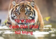 Xem tử vi năm 2020 cho tuổi Canh Dần sinh năm 1950 Nữ Mạng