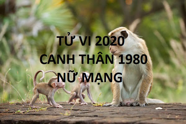 Xem tử vi năm 2020 cho tuổi CANH THÂN sinh năm 1980 Nữ Mạng - 