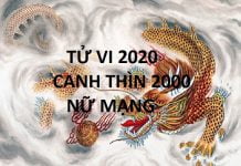 Xem tử vi năm 2020 cho tuổi CANH THÌN sinh năm 2000 Nữ Mạng
