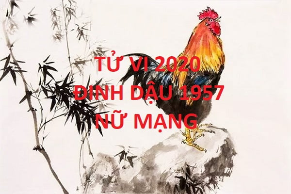 Xem tử vi năm 2020 cho tuổi ĐINH DẬU sinh năm 1957 Nữ Mạng-1 Xem tử vi năm 2020 cho tuổi ĐINH DẬU sinh năm 1957 Nữ Mạng-1