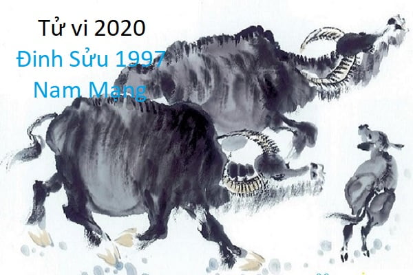 Xem tử vi năm 2020 cho tuổi Đinh Sửu sinh năm 1997 Nam Mạng