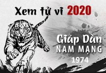 Xem tử vi năm 2020 cho tuổi Giáp Dần sinh năm 1974 Nam Mạng