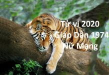 Xem tử vi năm 2020 cho tuổi Giáp Dần sinh năm 1974 Nữ Mạng