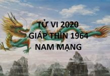 Xem tử vi năm 2020 cho tuổi GIÁP THÌN sinh năm 1964 Nam Mạng