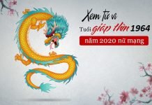 Xem tử vi năm 2020 cho tuổi GIÁP THÌN sinh năm 1964 Nữ Mạng