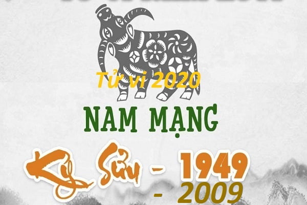 Xem tử vi năm 2020 cho tuổi Kỷ Sửu sinh năm 1949, 2009 Nam Mạng-1 Xem tử vi năm 2020 cho tuổi Kỷ Sửu sinh năm 1949, 2009 Nam Mạng-1