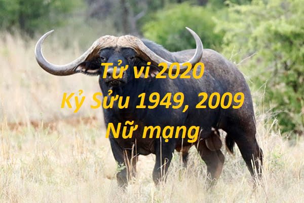 Xem tử vi năm 2020 cho tuổi Kỷ Sửu sinh năm 1949, 2009 Nữ Mạng-1 Xem tử vi năm 2020 cho tuổi Kỷ Sửu sinh năm 1949, 2009 Nữ Mạng-1