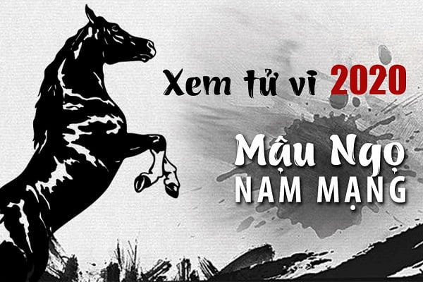 Xem tử vi năm 2020 cho tuổi MẬU NGỌ sinh năm 1978 Nam Mạng - 