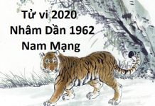 Xem tử vi năm 2020 cho tuổi Nhâm Dần sinh năm 1962 Nam Mạng