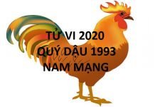 Xem tử vi năm 2020 cho tuổi QÚY DẬU sinh năm 1993 Nam Mạng