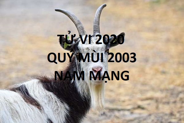 Xem tử vi năm 2020 cho tuổi QÚY MÙI sinh năm 2003 Nam Mạng-1