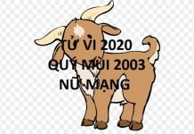 Xem tử vi năm 2020 cho tuổi QÚY MÙI sinh năm 2003 Nữ Mạng