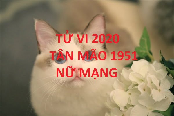 Xem tử vi năm 2020 cho tuổi Tân Mão sinh năm 1951 Nữ Mạng