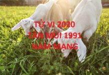 Xem tử vi năm 2020 cho tuổi TÂN MÙI sinh năm 1991 Nam Mạng