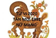 Xem tử vi năm 2020 cho tuổi TÂN MÙI sinh năm 1991 Nữ Mạng