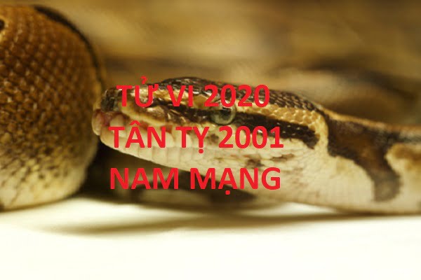 Xem tử vi năm 2020 cho tuổi TÂN TỴ sinh năm 2001 Nam Mạng-1