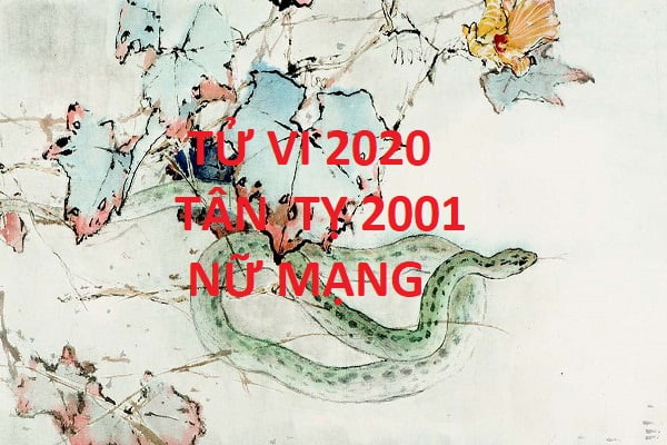Xem tử vi năm 2020 cho tuổi TÂN TỴ sinh năm 2001 Nữ Mạng-1