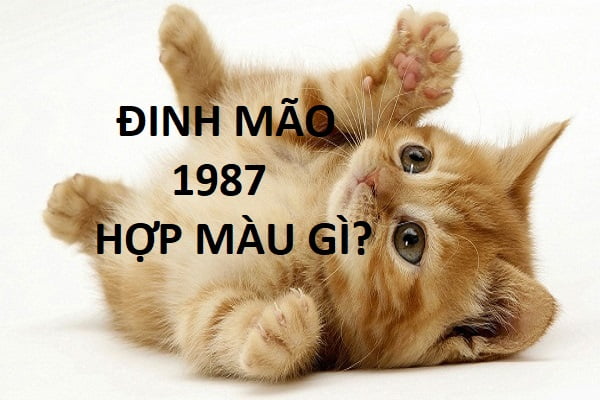 Sinh năm 1987 hợp màu gì? Tuổi Đinh Mão kỵ màu gì?-1 Sinh năm 1987 hợp màu gì? Tuổi Đinh Mão kỵ màu gì?-1