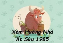 Xem hướng nhà hợp tuổi Ất Sửu 1985 nam mạng, nữ mạng