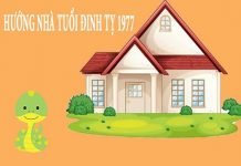 Xem hướng nhà hợp tuổi Đinh Tỵ 1977 nam mạng, nữ mạng
