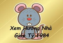 Xem hướng nhà hợp tuổi Giáp Tý 1984 nam mạng, nữ mạng