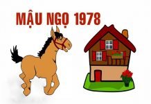 Xem hướng nhà hợp tuổi Mậu Ngọ 1978 nam mạng, nữ mạng