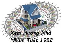 Xem hướng nhà hợp tuổi Nhâm Tuất 1982 nam mạng, nữ mạng