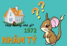 Xem hướng nhà hợp tuổi Nhâm Tý 1972 nam mạng, nữ mạng