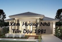 Xem hướng nhà hợp tuổi Tân Dậu 1981 nam mạng, nữ mạng