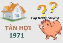 Xem hướng nhà hợp tuổi Tân Hợi 1971 nam mạng, nữ mạng