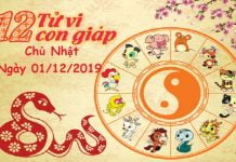 Xem tử vi Chủ Nhật ngày 01/12/2019 của 12 con giáp