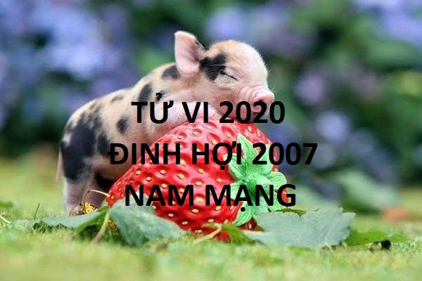 Xem tử vi năm 2020 cho tuổi ĐINH HỢI sinh năm 2007 Nam Mạng-1