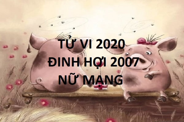 Xem tử vi năm 2020 cho tuổi ĐINH HỢI sinh năm 2007 Nữ Mạng-1 Xem tử vi năm 2020 cho tuổi ĐINH HỢI sinh năm 2007 Nữ Mạng-1