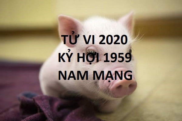Xem tử vi năm 2020 cho tuổi KỶ HỢI sinh năm 1959 Nam Mạng