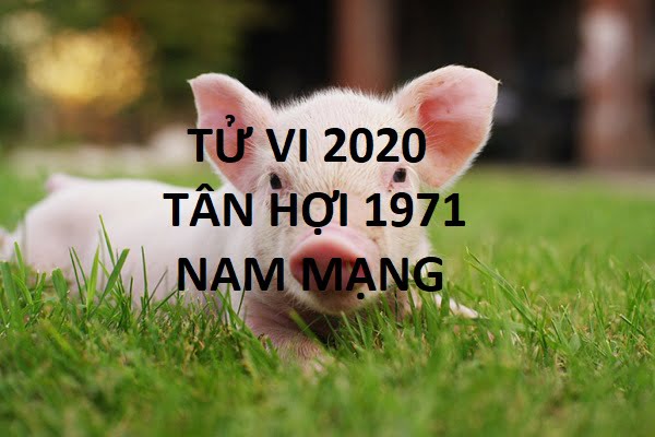 Xem tử vi năm 2020 cho tuổi TÂN HỢI sinh năm 1971 Nam Mạng - 