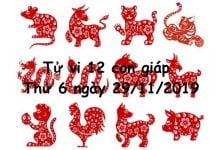 Xem tử vi thứ 6 ngày 29/11/2019 của 12 con giáp