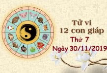 Xem tử vi thứ 7 ngày 30/11/2019 của 12 con giáp