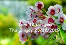Xem tử vi thứ 2 ngày 23/12/2019 của 12 con giáp