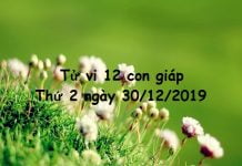 Xem tử vi thứ 2 ngày 30/12/2019 của 12 con giáp