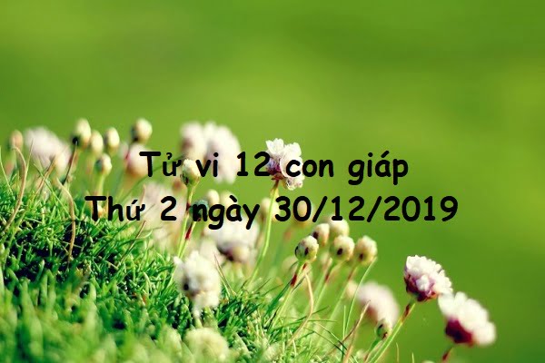 Xem tử vi thứ 2 ngày 30/12/2019 của 12 con giáp-1 Xem tử vi thứ 2 ngày 30/12/2019 của 12 con giáp-1